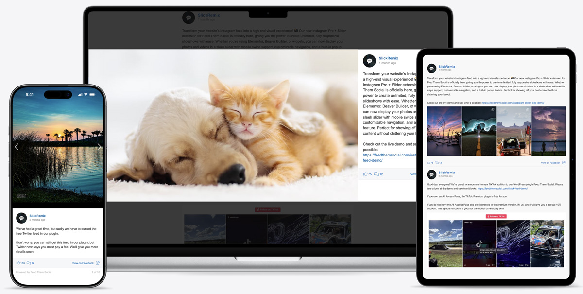 Feed Them Social Facebook Feed Visual
